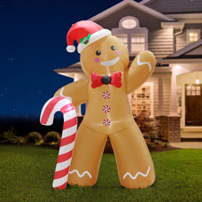 Festive Image